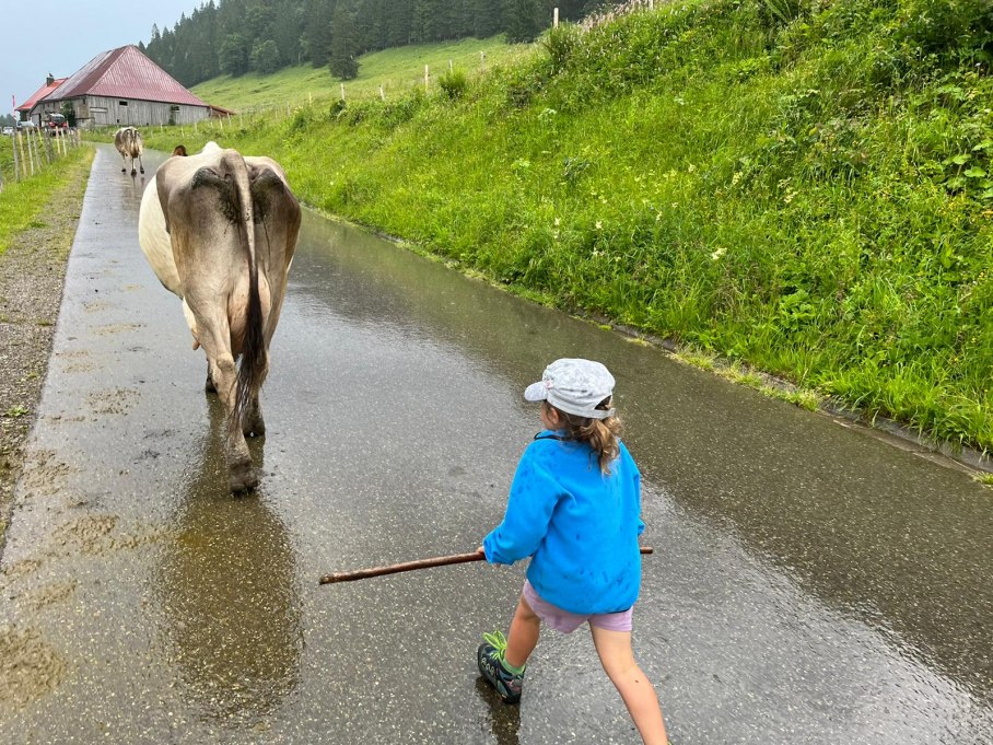 Kühe holen mit Tamara und da regnete es plötzlich wie aus Eimern. 