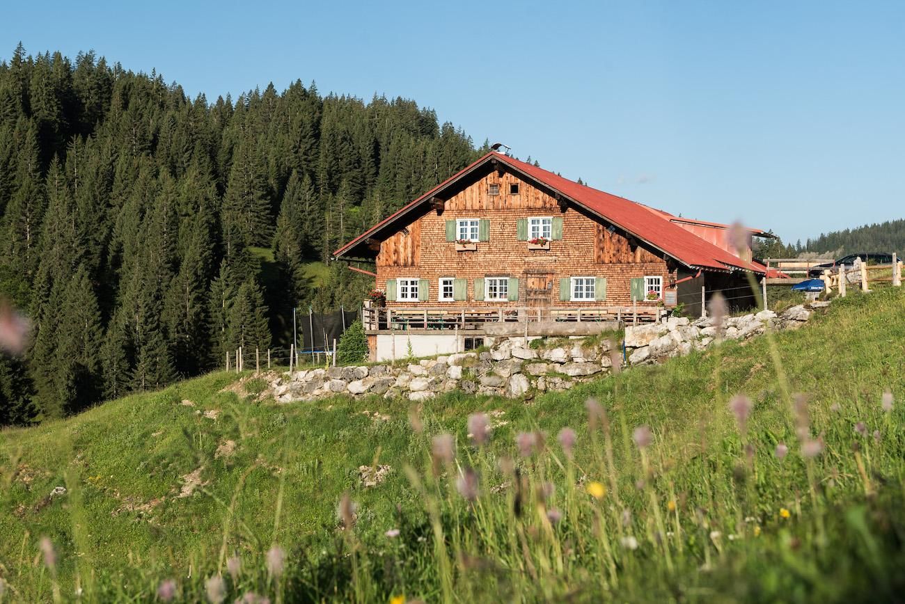 Hölzernes Berghaus mit rotem Dach, grünen Fensterläden, umgeben von grüner Wiese und Bäumen.