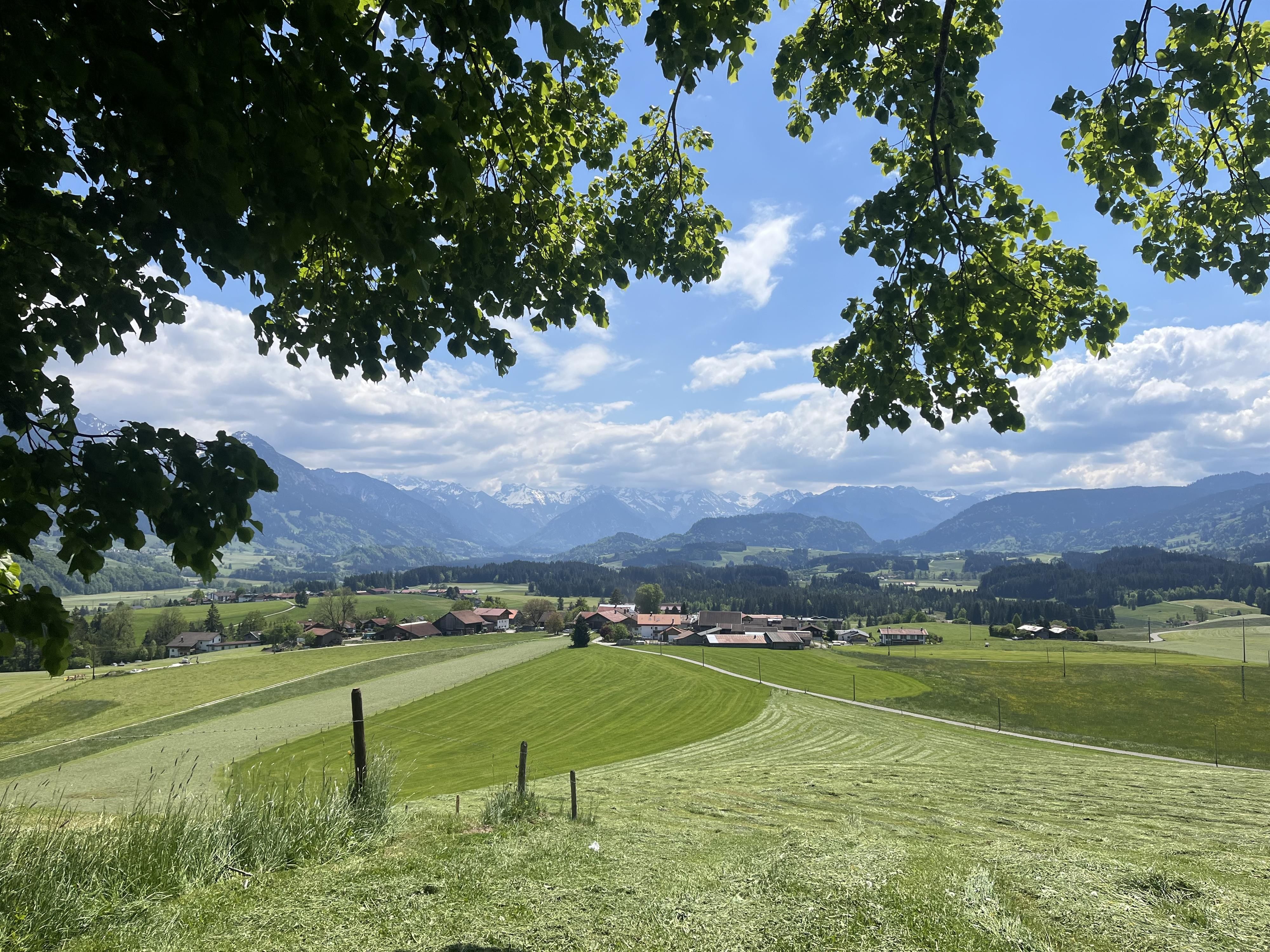 Aussicht von der Wittelsbacher Höhe über die Oberallgäuer Landschaft und Allgäuer Hauptkamm