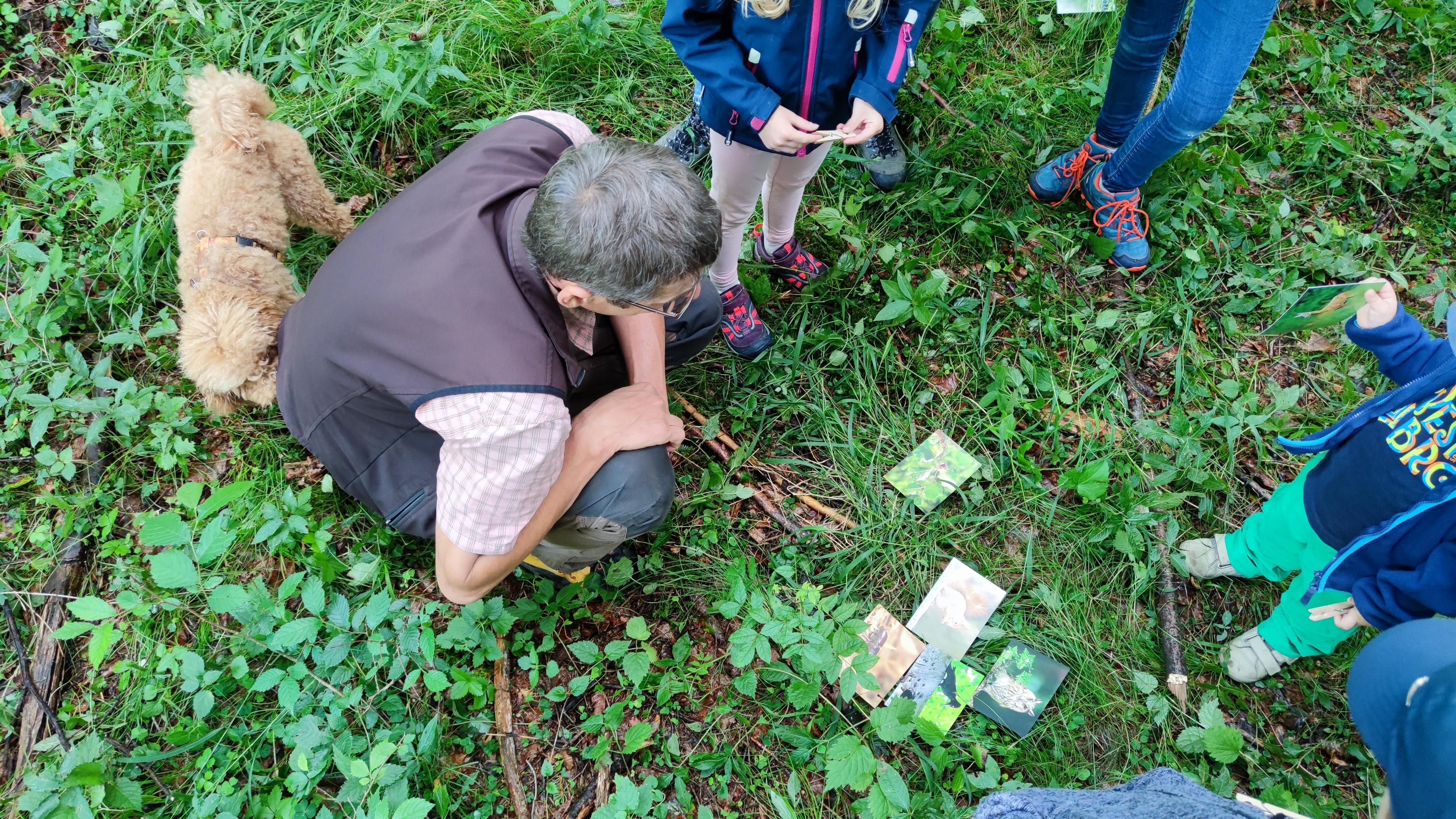 Der Förster in grauer Weste zeigt einer Gruppe von Kindern (nur die Beine oder eine Kappe sind sichtbar) verschiedene Fotos von Vögeln. Die Fotos liegen auf dem Grasboden. Auch zu sehen ist der Hund des Försters, ein kleiner Pudel.