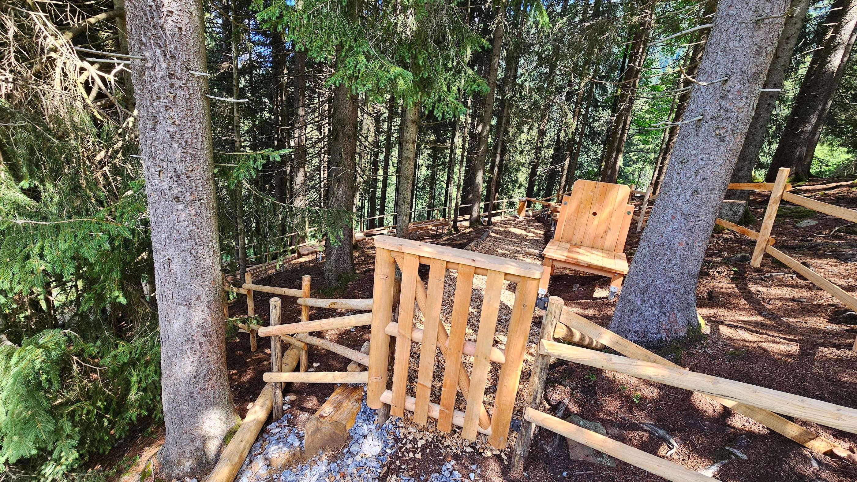 Ein ruhiger Wald mit hohen Bäumen und einer Holzbank. Ein umzäunter Bereich ermöglicht einen schönen Ausblick in die Natur.
