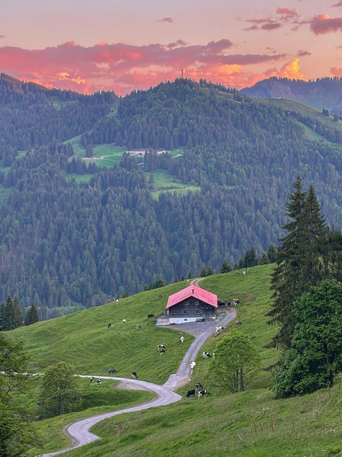 Blick auf eine Alpe, im Hintergrund der Gelbhansekopf und ein von der Sonne rot angestrahlter Himmel.
