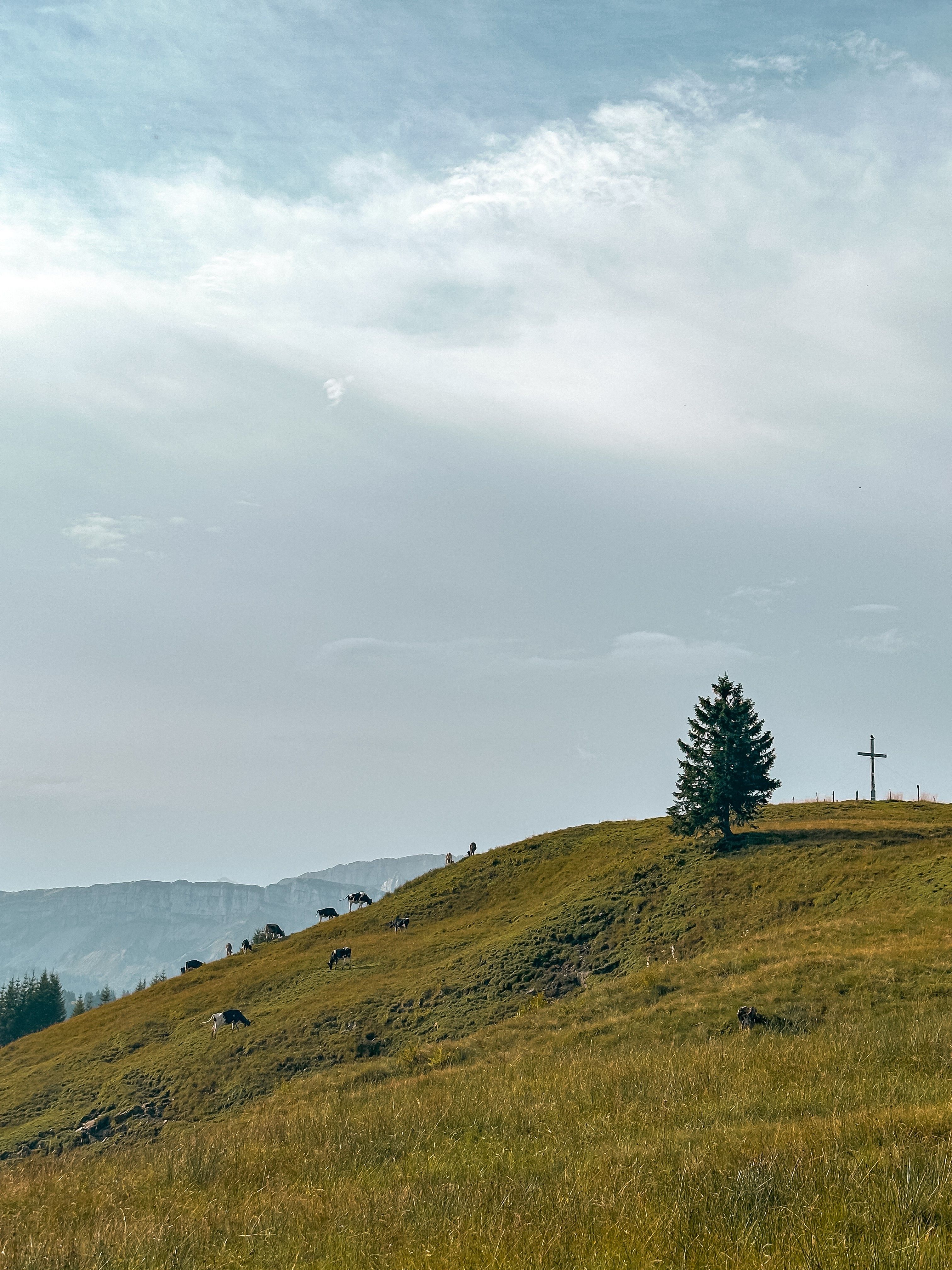 Blick auf Gipfelkreuz Hochschelpen