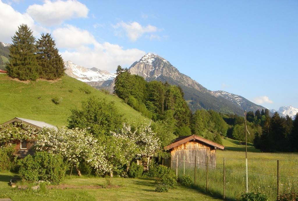 Rückweg über Fischen-Au mit Rubhihorn im Blick