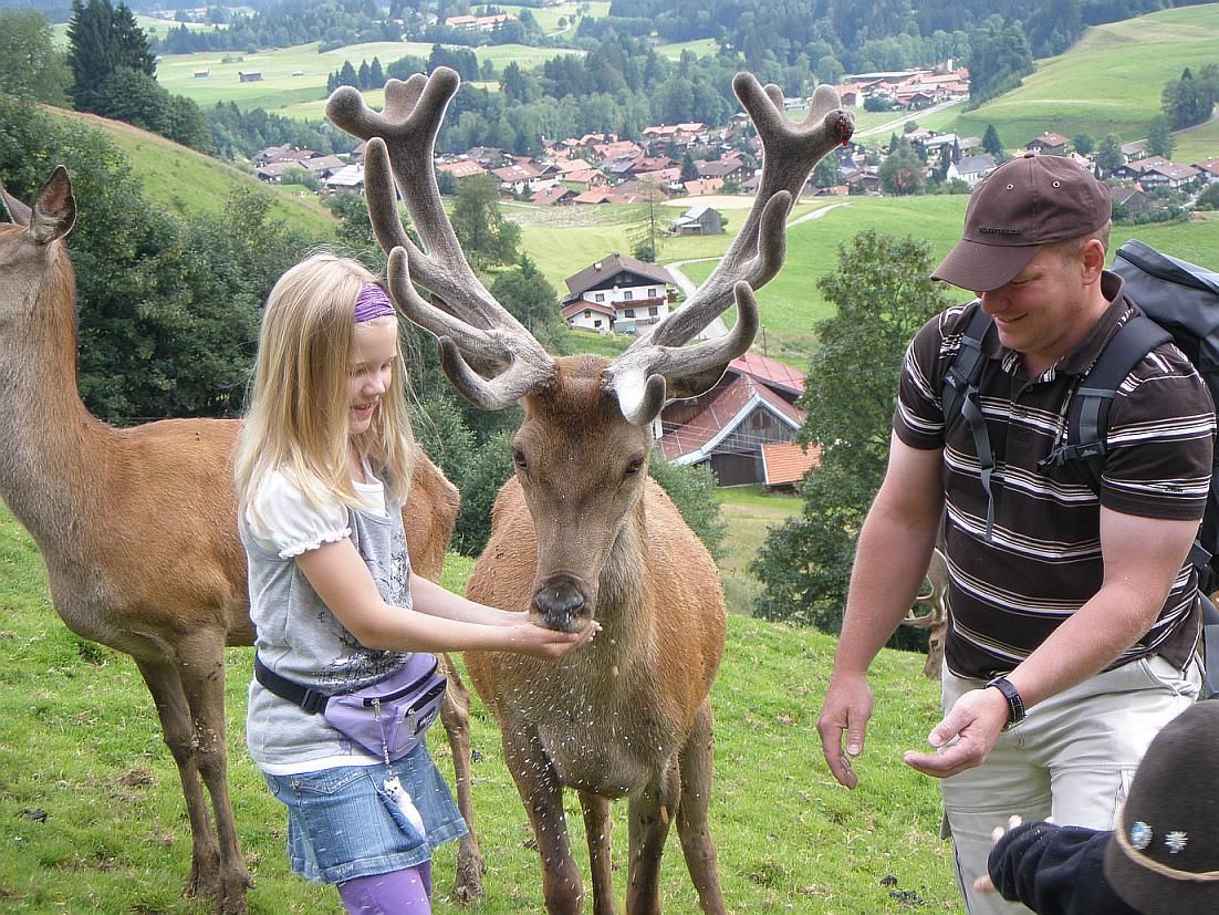 Ein Mädchen und ein Mann füttern einen Hirsch . Im Hintergrund ist ein Dorf in einem grünen Tal zu sehen.