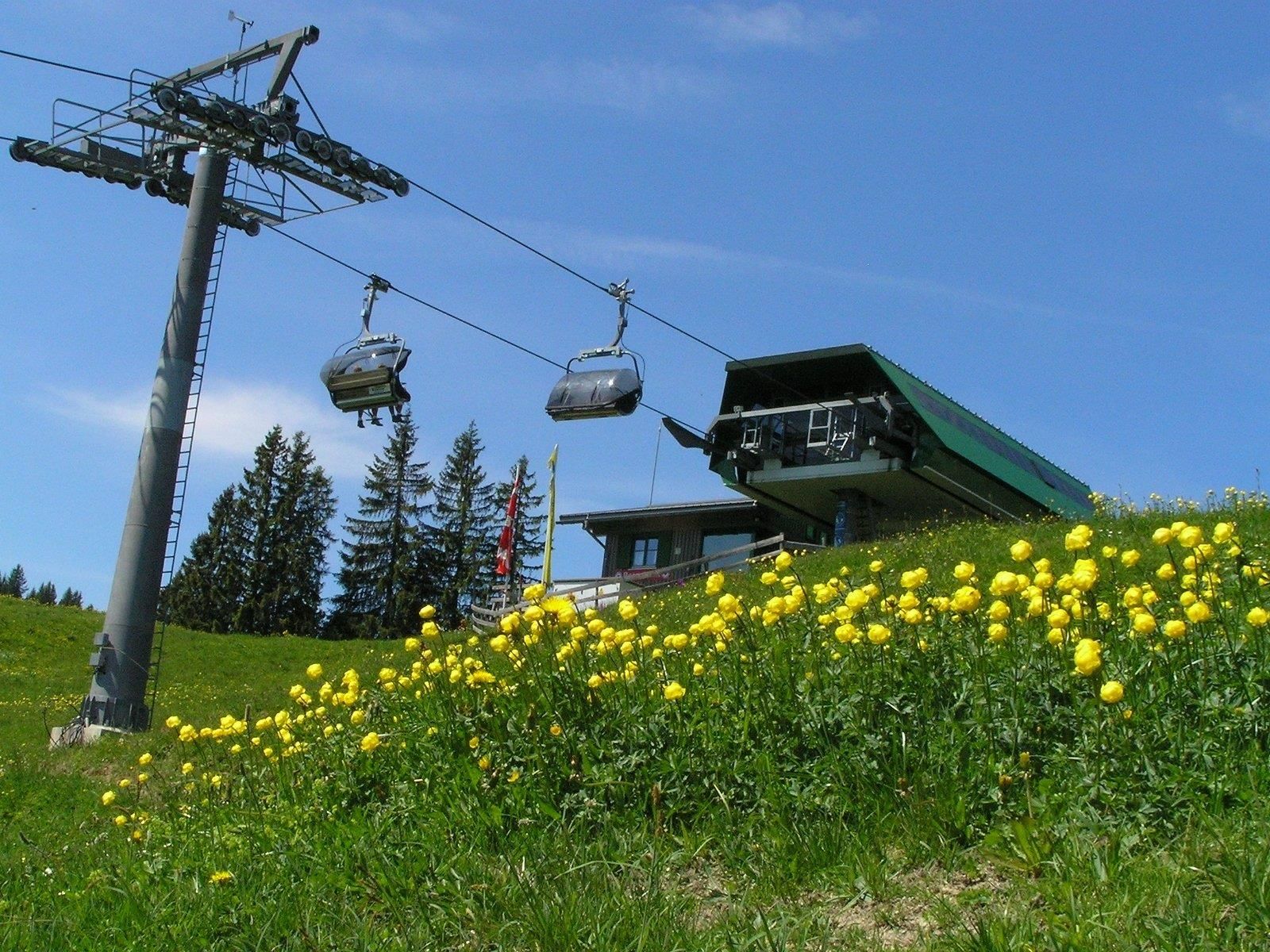 Bergstation des Weltcup-Express in Ofterschwang mit zwei leeren Sesseln über einer grünen Wiese.