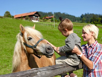 Bauernhofurlaub für Familien in den Allgäuer Hörnerdörfern, © Tourismus Hörnerdörfer / Manfred Felder
