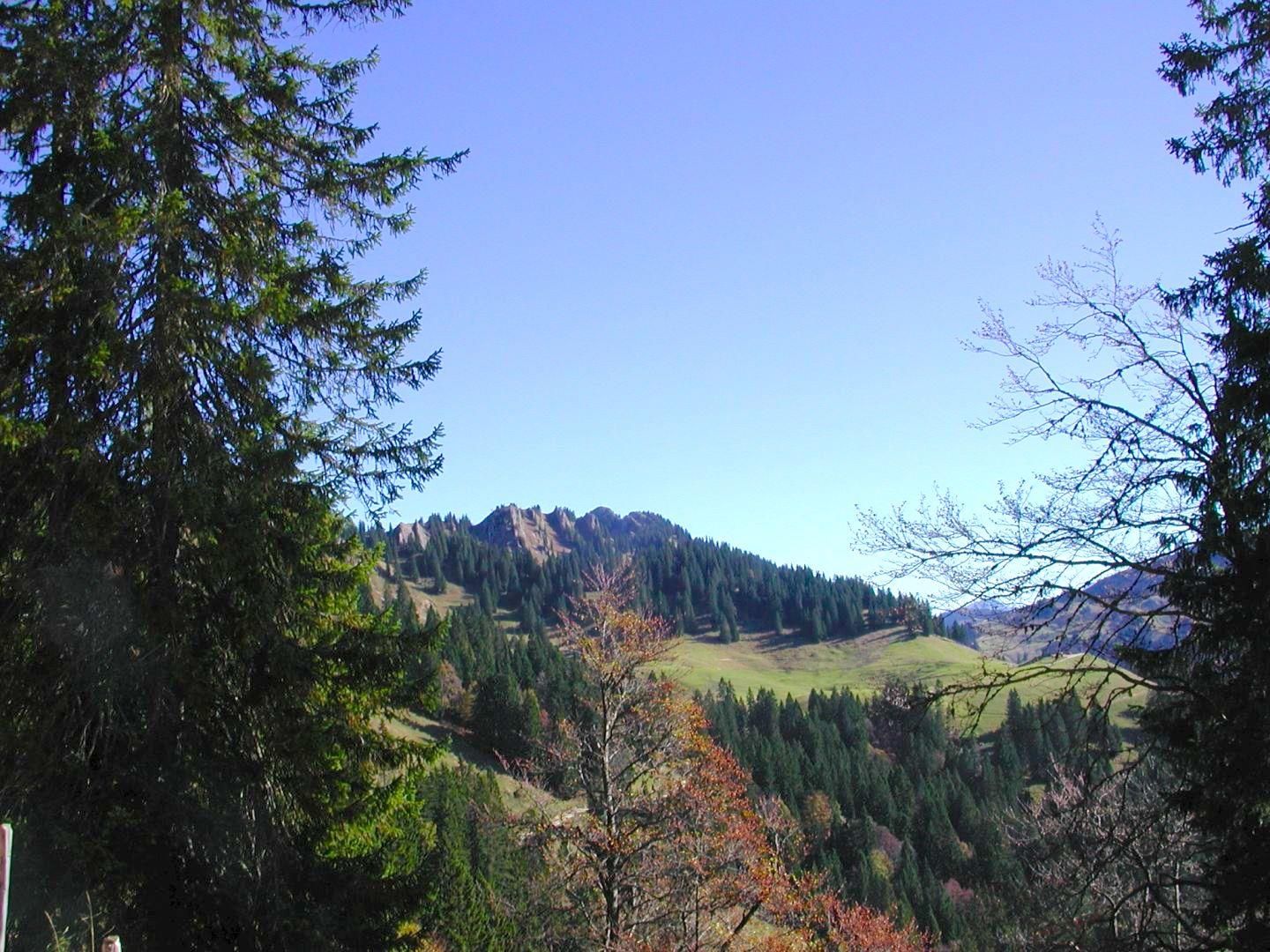 Alpenpanorama mit bewaldeten Hängen und einem Felsgrat unter blauem Himmel.
