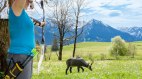 3D Erlebnis Bogenparcours im Tal in Bolsterlang, © Tourismus Hörnerdörfer, ProVisionMedia