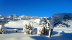 Ausblick auf die verschneite Allgäuer Landschaft, © Alpenflora Gästehaus - Fischen i. Allgäu