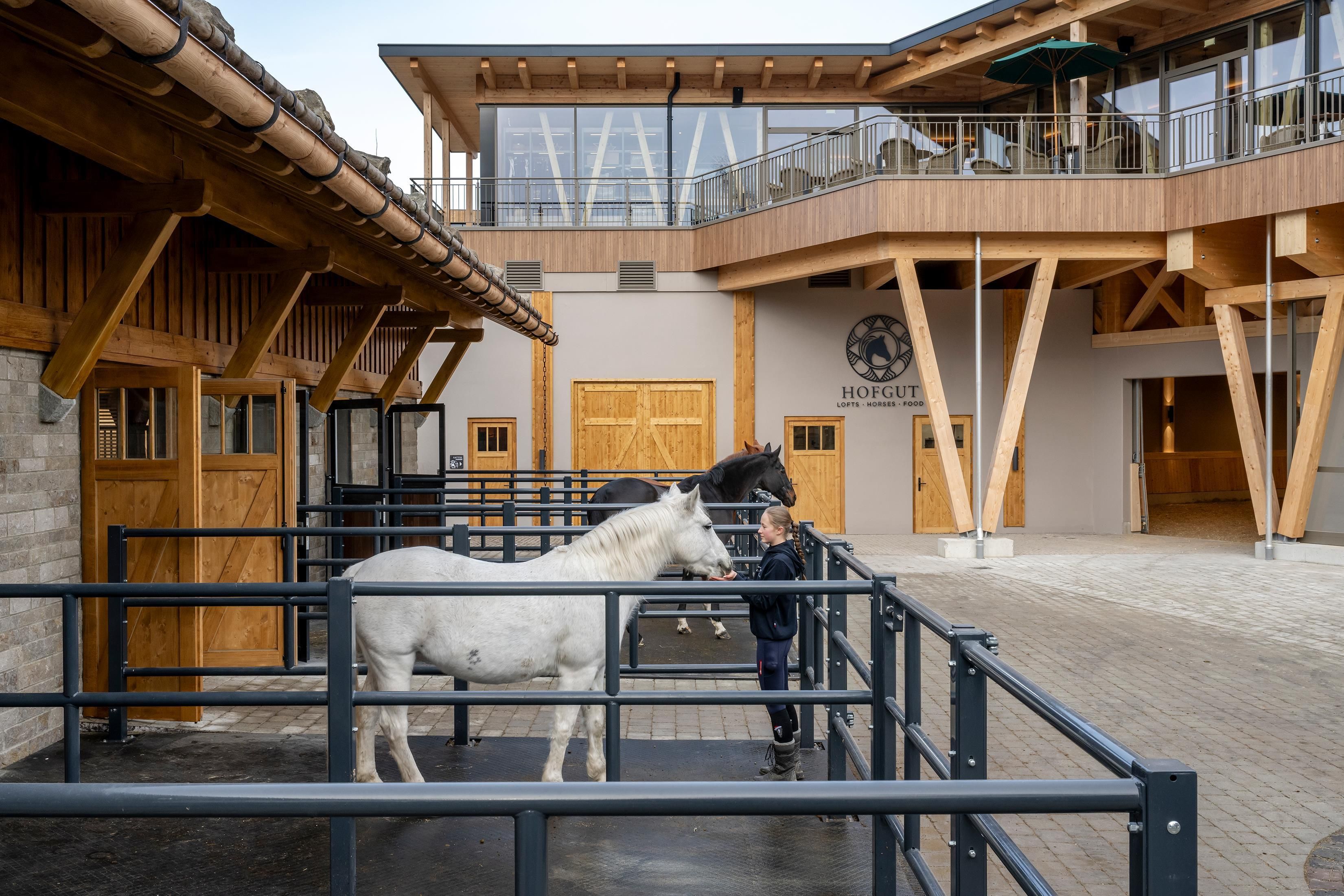 Ein gepflegter Innenhof mit einem weißen Pferd und einer Person. Im Hintergrund steht ein modernes Gebäude mit holzverkleideten Fassaden.