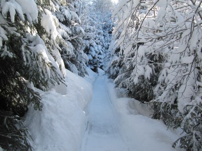 Verschneiter Winterwanderweg durch den Sagenwald
