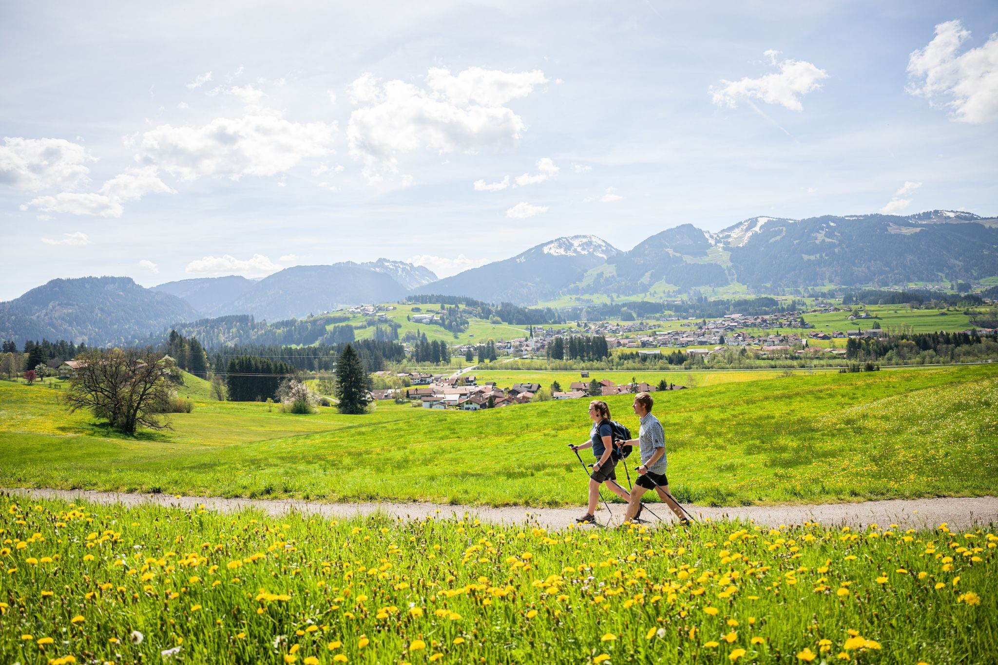 Wanderer über Löwenzahnwiesen bei Fischen in den Allgäuer Hörnerdörfern