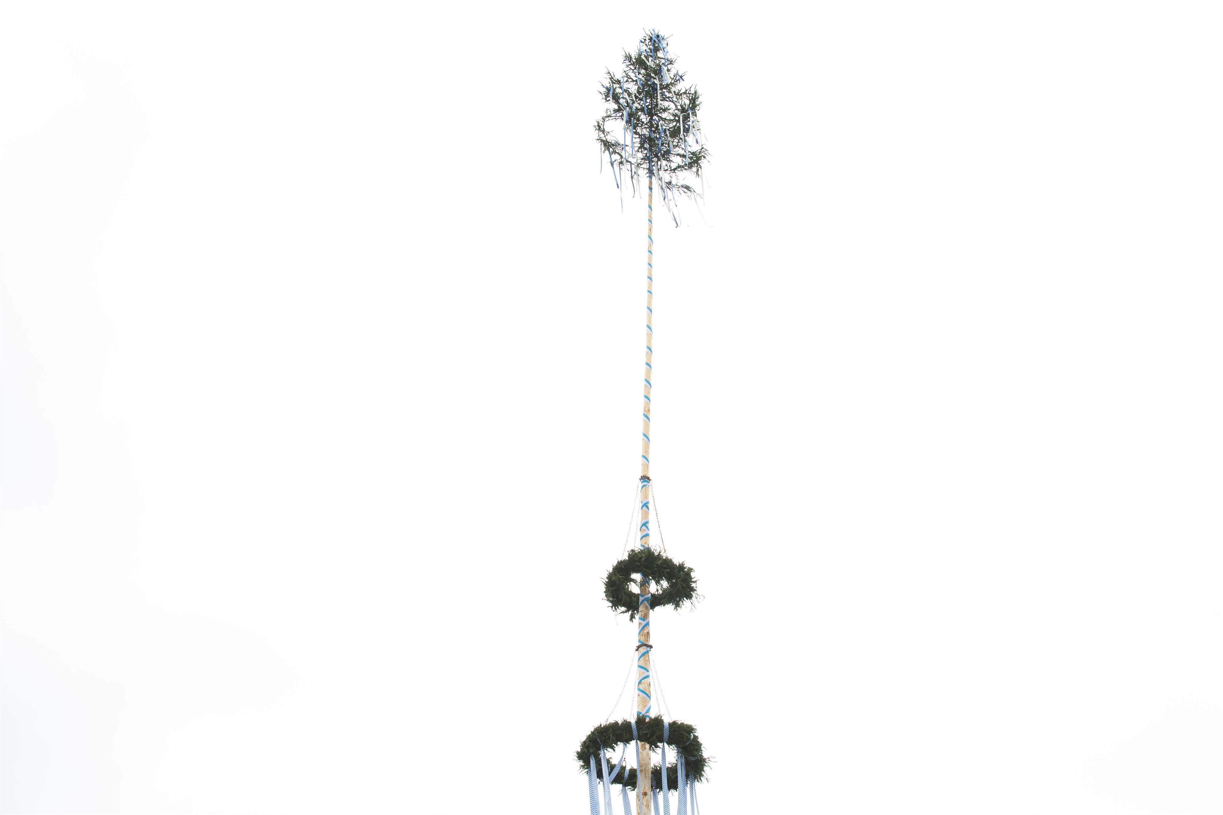 Ein schlanker Maibaum, geschmückt mit Bändern und zwei Kränzen, ragt hoch in den Himmel.